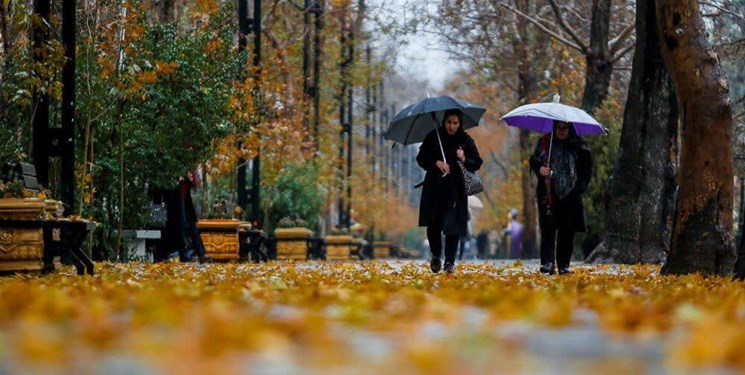 بوشهر میزبان اول باران پاییزی شد
